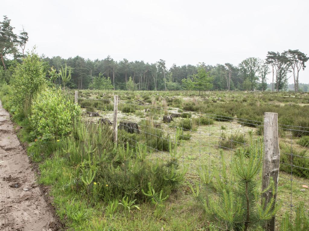 Villa Luxurious Chalet In Oud Turnhout With Large Garden Oud-Turnhout Exterior foto